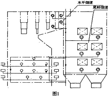 偠tʾD